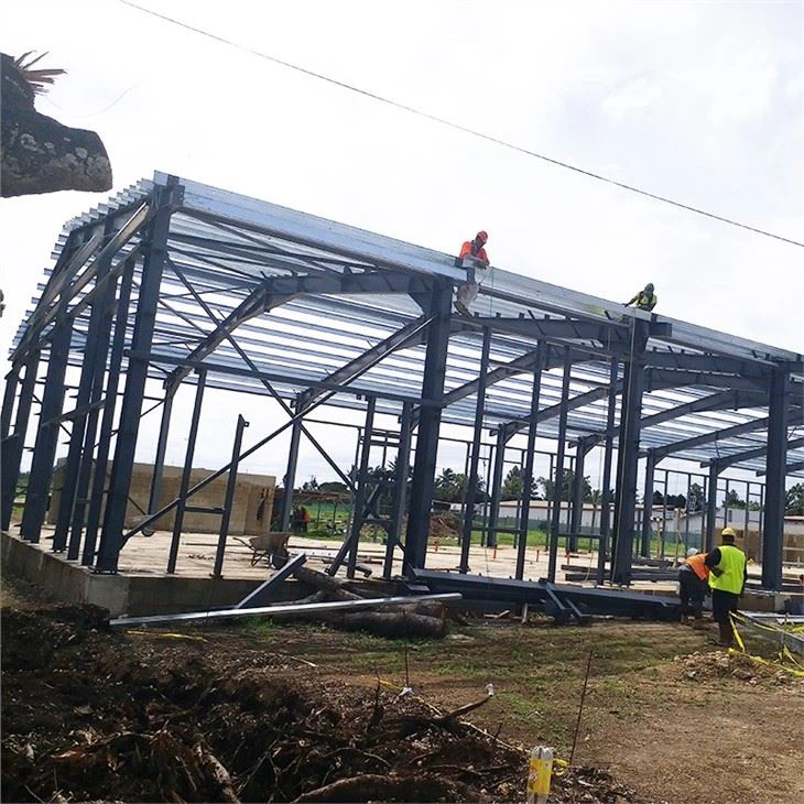 Tonga steel building